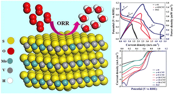 Graphical abstract: Effect of molybdenum doping on the catalytic activity of VS2/CNT for the oxygen reduction reaction in alkaline media