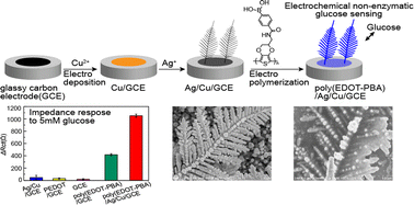 Graphical abstract: Phenylboronic acid conjugated poly(3,4-ethylenedioxythiophene) (PEDOT) coated Ag dendrite for electrochemical non-enzymatic glucose sensing
