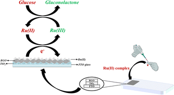 Graphical abstract: Synthesis of a cationic ruthenium(ii) complex and its non-enzymatic glucose-sensing properties