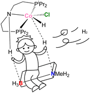 Graphical abstract: Mechanistic insights into H3B·NMeH2 dehydrogenation by Co-based complexes: a DFT perspective