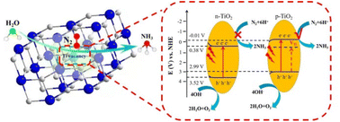 Graphical abstract: Cationic vacancy engineering of p-TiO2 for enhanced photocatalytic nitrogen fixation