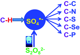 Graphical abstract: Visible light-promoted photocatalyst-free activation of persulfates: a promising strategy for C–H functionalization reactions