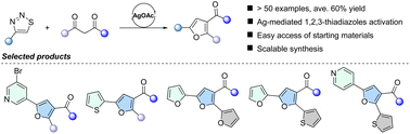 Graphical abstract: Silver-mediated annulation between 5-H-1,2,3-thiadiazoles and 1,3-dicarbonyl compounds to construct polysubstituted furans