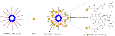 Graphical abstract: Fabrication and characterization of novel macroporous hydrogels based on the polymerizable surfactant AAc-Span80 and their enhanced drug-delivery capacity