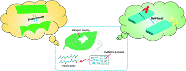 Graphical abstract: A stretchable and healable elastomer with shape memory capability based on multiple hydrogen bonds
