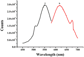 Graphical abstract: A label-free aptasensor for the detection of ATP based on turn-on fluorescence DNA-templated silver nanoclusters