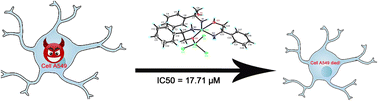 Graphical abstract: Synthesis, characterization and anticancer activities of Zn2+, Cu2+, Co2+ and Ni2+ complexes involving chiral amino alcohols