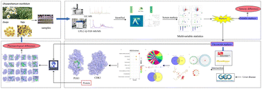 Graphical abstract: A holistic comparison of flavor signature and chemical profile in different harvesting periods of Chrysanthemum morifolium Ramat. based on metabolomics combined with bioinformatics and molecular docking strategy