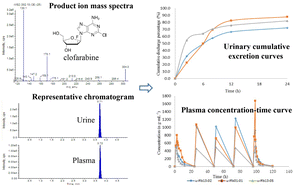 Graphical abstract: Quantification of clofarabine in urine and plasma by LC-MS/MS: suitable for PK study and TDM in pediatric patients with relapsed or refractory ALL