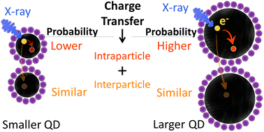 Graphical abstract: Unravelling the ultrafast charge dynamics in PbS quantum dots through resonant Auger mapping of the sulfur K-edge