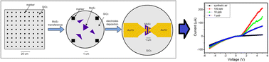 Graphical abstract: Ultra-low detection limit chemoresistive NO2 gas sensor using single transferred MoS2 flake: an advanced nanofabrication