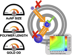 Graphical abstract: Polymer-tethered glyconanoparticle colourimetric biosensors for lectin binding: structural and experimental parameters to ensure a robust output