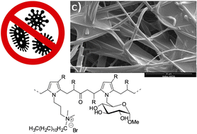 Graphical abstract: Functionalized aliphatic polyketones with germicide activity