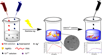 Graphical abstract: Synthesis of silver nanoclusters by irradiation reduction and detection of Cr3+ ions