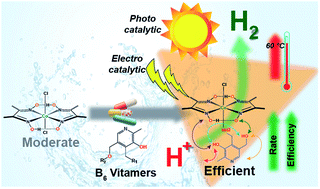 Graphical abstract: The rational inclusion of vitamin B6 boosts artificial cobalt complex catalyzed green H2 production