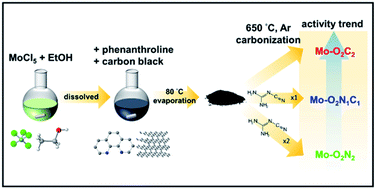 Graphical abstract: Modulation of the coordination environment enhances the electrocatalytic efficiency of Mo single atoms toward water splitting