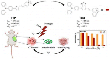 Graphical abstract: Molecular engineering to red-shift the absorption band of AIE photosensitizers and improve their ROS generation ability