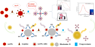 Graphical abstract: Construction of multiple modes using gold nanoparticles as probes for the rapid detection of fenpyroximate