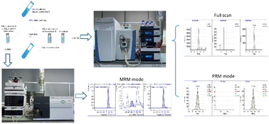 Graphical abstract: A comprehensive and high-throughput screening method for multiple prohibited substances by UPLC-QE Plus-HRMS and HPLC-QQQ-MS in human urine for doping control