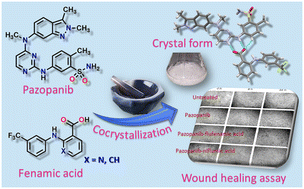 Graphical abstract: Cocrystallization of multi-kinase inhibitor pazopanib with fenamic acids: improving dissolution and inhibiting cell migration