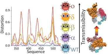 Graphical abstract: The SARS-CoV-2 spike protein structure: a symmetry tale on distortion trail