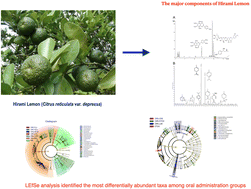 Graphical abstract: Hirami lemon (Citrus reticulata var. depressa) modulates the gut–brain axis in a chronic mild stress-induced depression mouse model