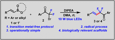 Graphical abstract: Visible light-mediated metal-free alkyl Suzuki–Miyaura coupling of alkyl halides and alkenylboronic acids/esters: a green method for the synthesis of allyl difluoride derivatives