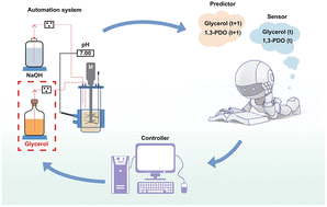 Graphical abstract: Artificial intelligence system for enhanced automated 1,3-propanediol green biosynthesis