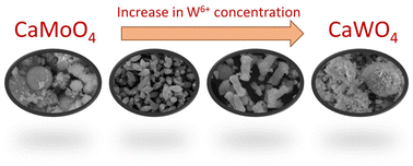 Graphical abstract: Synthesis, characterization, and photocatalytic CO2 reduction evaluation of the CaWxMo1−xO4 (x = 0–1) solid solution