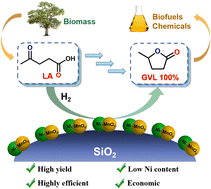 Graphical abstract: Highly efficient Ni–Mn/SiO2 catalyst for the selective hydrogenation of biomass-derived levulinic acid to γ-valerolactone under mild conditions