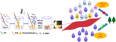 Graphical abstract: Chitosan–poly(vinyl alcohol)–ionic liquid-grafted hydrogel for treating wastewater