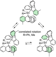 Graphical abstract: Synthesis and structure of stannane-based molecular bevel gears having substituents on a tin linker