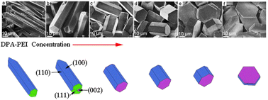 Graphical abstract: Mussel-inspired dynamic facet-selective capping approach to highly uniform α-calcium sulfate hemihydrate crystals