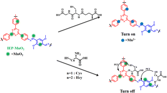 Graphical abstract: Covalent organic framework-MnO2 nanoparticle composites for shape-selective sensing of bithiols
