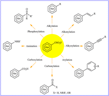 Graphical abstract: Aryl fluorosulfates: powerful and versatile partners in cross-coupling reactions