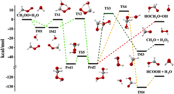 Graphical abstract: Full-dimensional neural network potential energy surface and dynamics of the CH2OO + H2O reaction