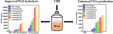 Graphical abstract: Enhanced volatile fatty acid production from waste activated sludge by urea hydrogen peroxide: performance and mechanisms