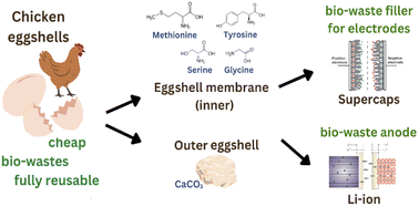 Graphical abstract: From waste to energy storage: calcinating and carbonizing chicken eggshells into electrode materials for supercapacitors and lithium-ion batteries