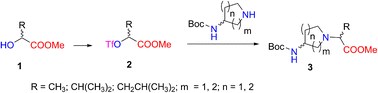 Graphical abstract: Facile synthesis of new N-(aminocycloalkylene)amino acid compounds using chiral triflate esters with N-Boc-aminopyrrolidines and N-Boc-aminopiperidines