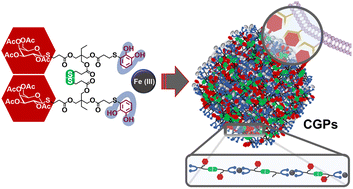 Graphical abstract: Design and synthesis of unnatural coordination glycopolymer particles (CGPs): unleashing the potential of catechol-saccharide derivatives