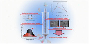 Graphical abstract: Temperature gradient reduction in a tubular direct ammonia solid oxide fuel cell by fluidizing the cathode particles