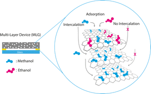 Graphical abstract: A multi-layered graphene based gas sensor platform for discrimination of volatile organic compounds via differential intercalation
