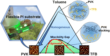 Graphical abstract: The influence of spinodal decomposition-based phase separation in a hybrid polymer hole transport layer on electroluminescent quantum dot light-emitting diodes