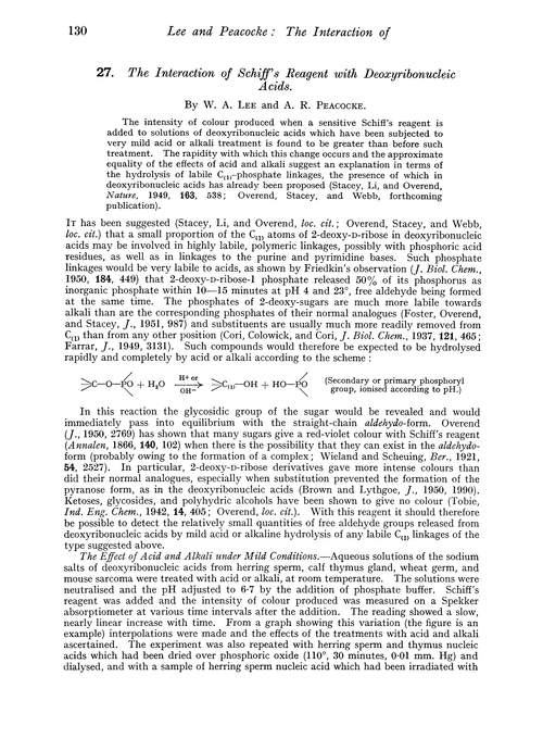 27. The interaction of Schiff's reagent with deoxyribonucleic acids