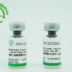 植物源重组人类胰岛素生长因子-1融合蛋白（OsrIGF-1)
