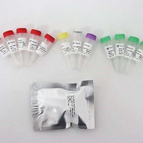 酶切片段化法DNA建库试剂盒（VAHTS Universal Plus DNA Library Prep Kit for Illumina V2）（ND627）