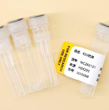 呼吸道合胞病毒 抗体/RSV抗体/