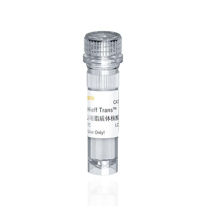 Hieff TransTM Suspension Cell-Free Liposomal Transfection Reagent Hieff TransTM悬浮细胞专用脂质体核酸转染试剂