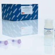 病毒RNA小提试剂盒