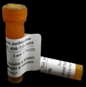 Cell Navigator 活细胞内质网染色试剂盒 绿色荧光